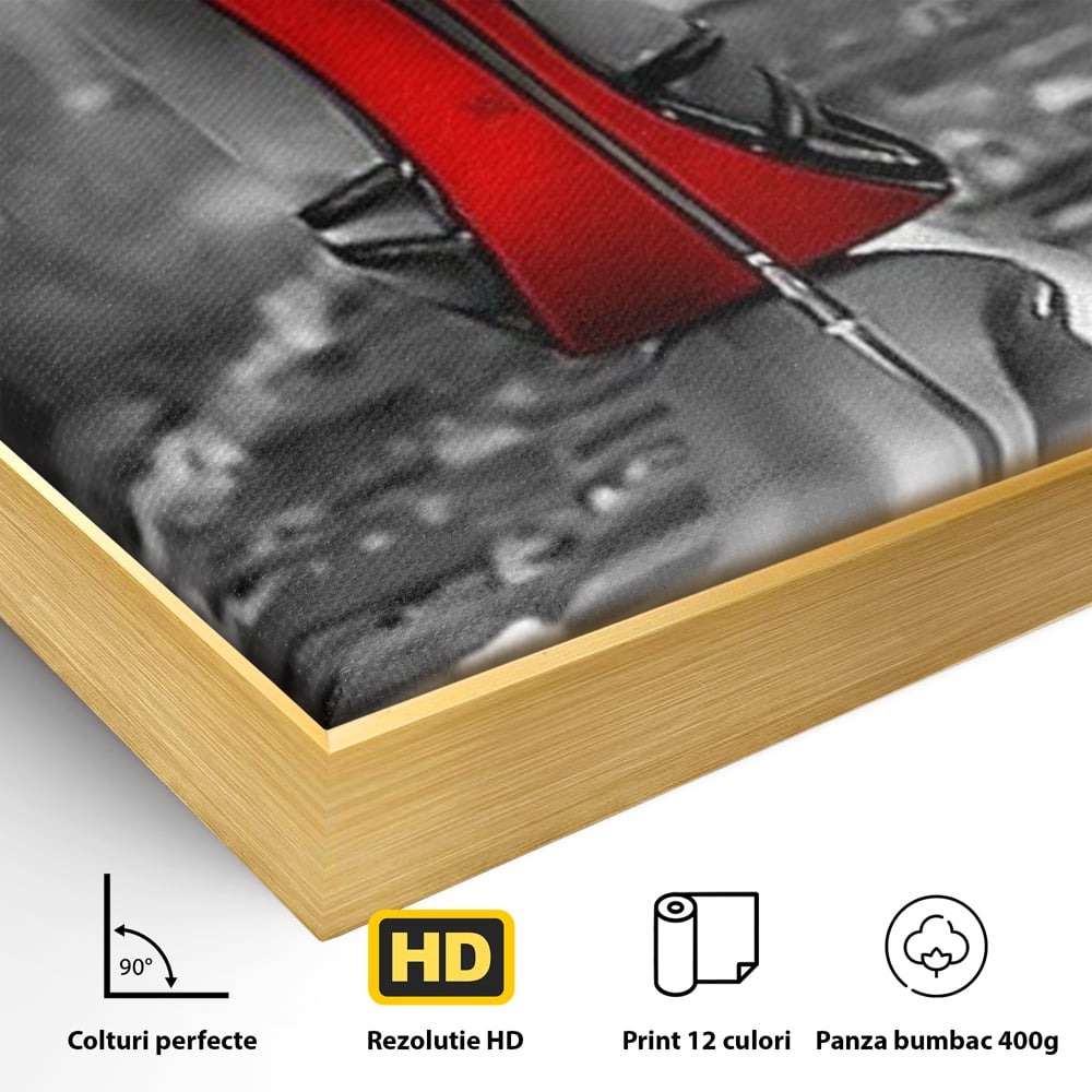 Detaliu al suprafetei: tablou canvas cu pantof pe sina, in rama de aluminiu auriu